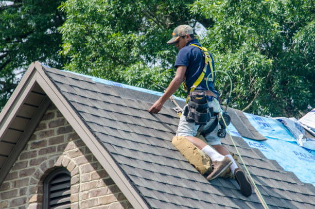 Best Roof Gutter Cleaning  in Brockway, PA